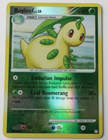 Bayleef 41/123